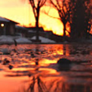 Meet your Posher, Alexander